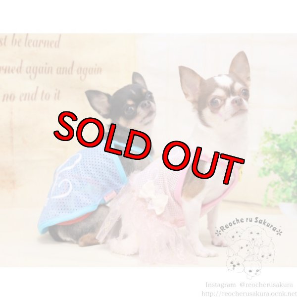 画像6: 【イニシャル入れ】イニシャルメッシュペアルック (6)