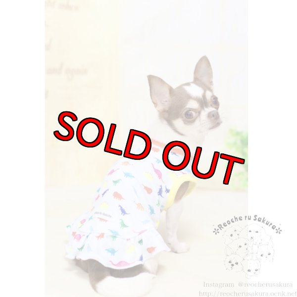 画像9: 吸水速乾、冷感加工 恐竜🦖ペアルック (9)