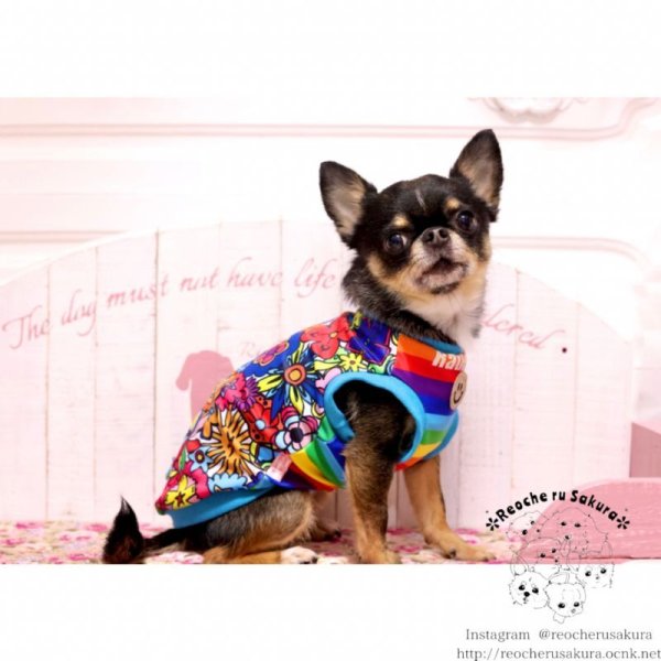 画像17: 【名入れ】カラフルペアルック 春夏 (17)