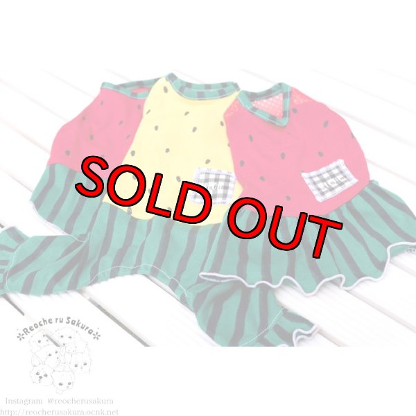 画像6: 【名入れ】スイカペアルック  春夏 (6)