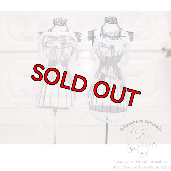 画像4: シースルーキャミソールペアルック (4)