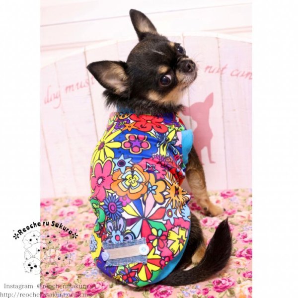 画像19: 【名入れ】カラフルペアルック 春夏 (19)