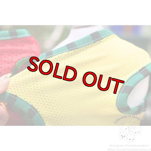 画像10: 【名入れ】スイカペアルック  春夏 (10)