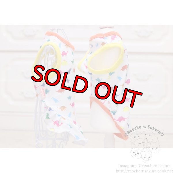 画像4: 吸水速乾、冷感加工 恐竜🦖ペアルック (4)