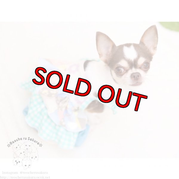 画像5: カントリーフリルキャミロンパース (5)