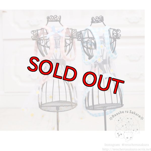 画像5: シースルーキャミソールペアルック (5)