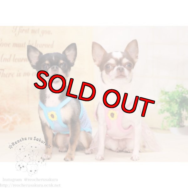 画像13: 【イニシャル入れ】イニシャルメッシュペアルック (13)