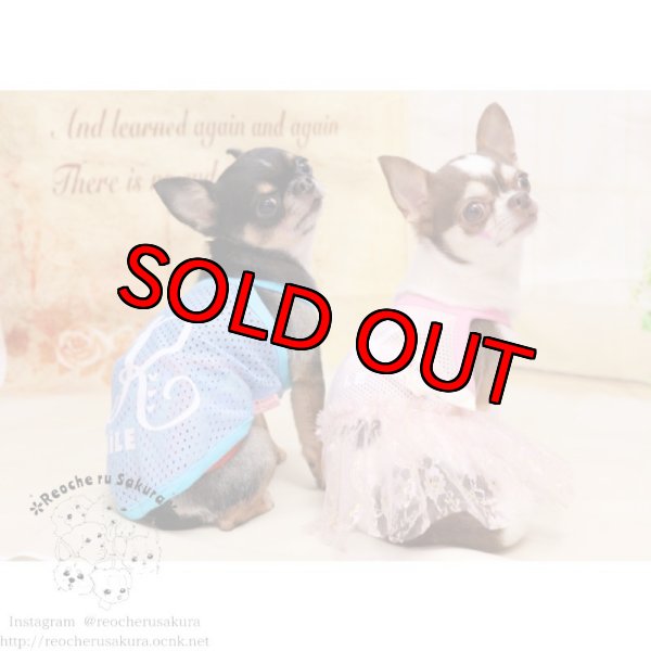 画像7: 【イニシャル入れ】イニシャルメッシュペアルック (7)