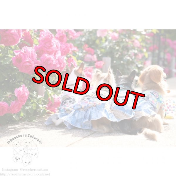 画像9: 【装飾あり】BAD GIRL ペアルック (9)