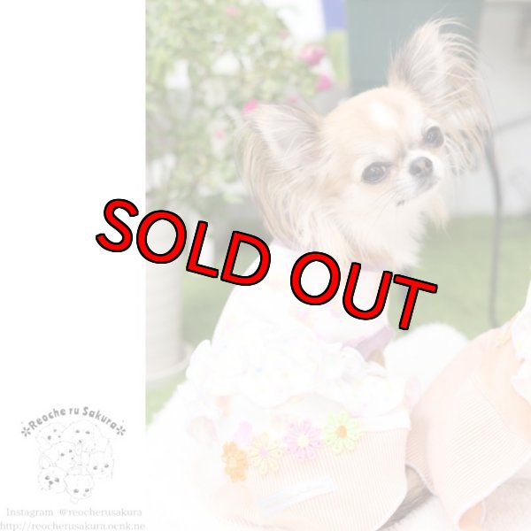 画像4: 【再々販】パンジーホイップペアルック (4)