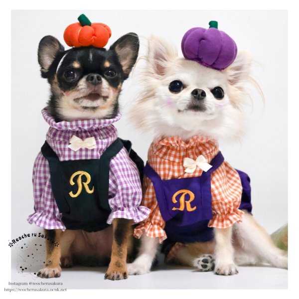 画像17: 【ハロウィン】かぼちゃ帽 【かぶりもの】 (17)