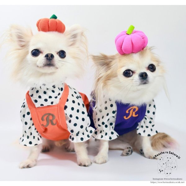 画像9: 水玉チュニック (9)