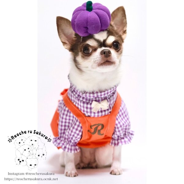 画像15: 【ハロウィン】かぼちゃ帽 【かぶりもの】 (15)