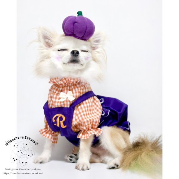 画像13: 【ハロウィン】かぼちゃ帽 【かぶりもの】 (13)