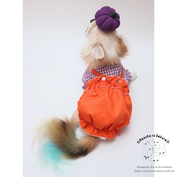 画像14: 【ハロウィン】かぼちゃ帽 【かぶりもの】 (14)