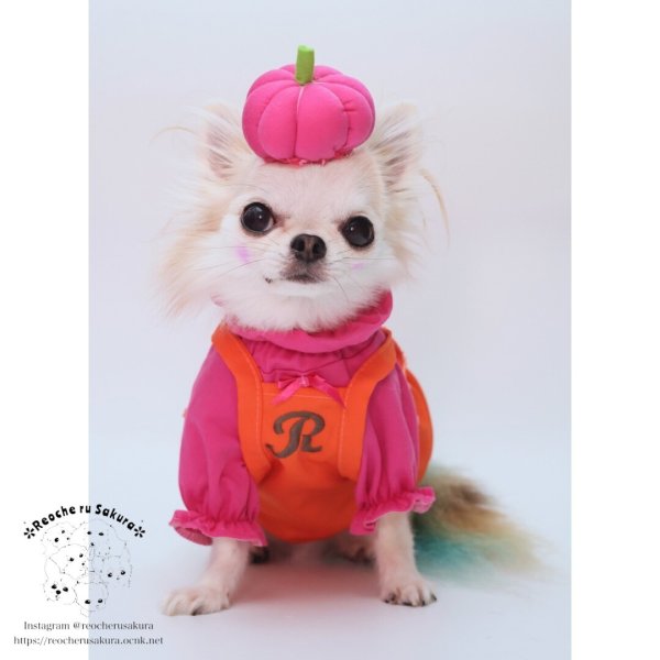 画像12: 【ハロウィン】かぼちゃ帽 【かぶりもの】 (12)