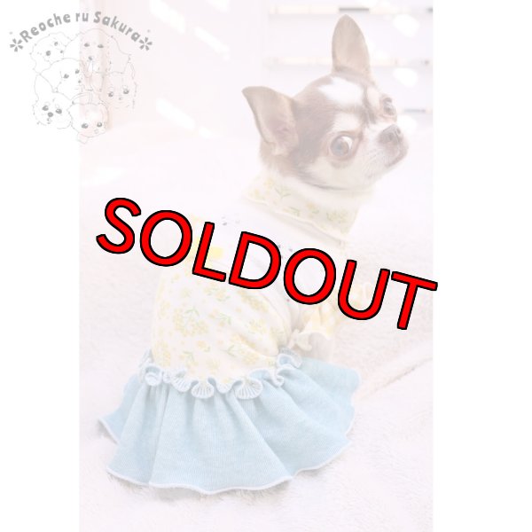 画像13: ミモザペアルック (13)