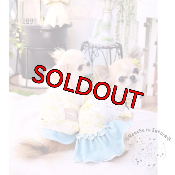 画像7: ミモザペアルック (7)