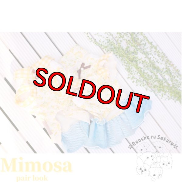 画像2: ミモザペアルック (2)