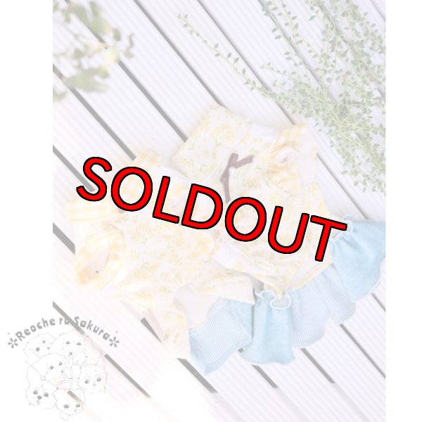 画像6: ミモザペアルック (6)