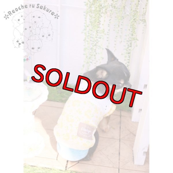 画像19: ミモザペアルック (19)