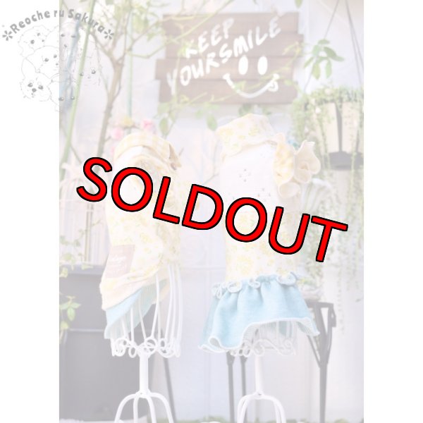 画像17: ミモザペアルック (17)