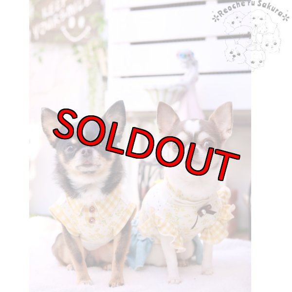 画像9: ミモザペアルック (9)