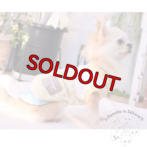 画像14: ミモザペアルック (14)