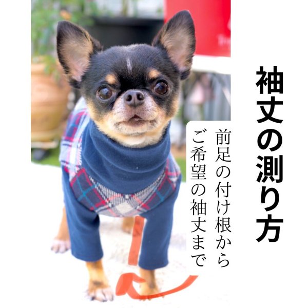 画像13: ミモザシャツブラウス (13)