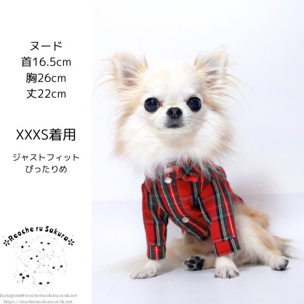 画像14: ミモザシャツブラウス (14)