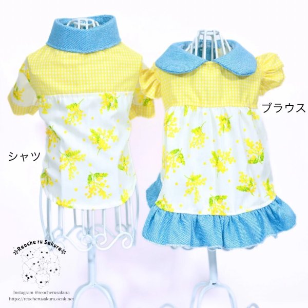 画像9: ミモザシャツブラウス (9)