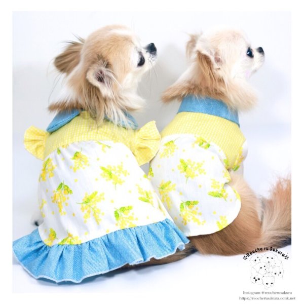 画像6: ミモザシャツブラウス (6)