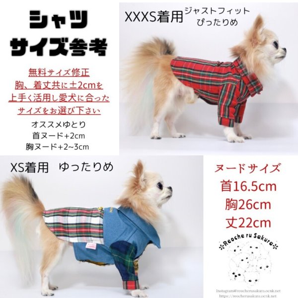 画像12: ミモザシャツブラウス (12)