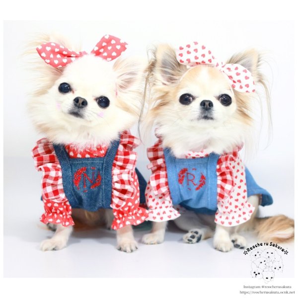 画像25: ラブリーエプロン (25)