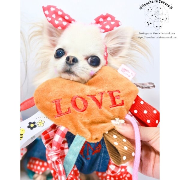 画像15: ラブリーハートカチューシャ.帽子 (15)