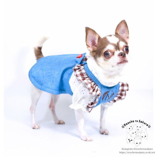 画像20: ラブリーエプロン (20)