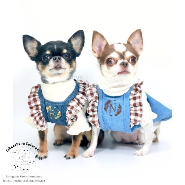 画像19: ラブリーエプロン (19)