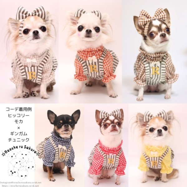 画像13: 【通年着用可】ヒッコリーバルーン (13)