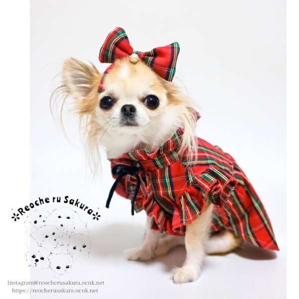 画像13: おそろいカチューシャ (13)