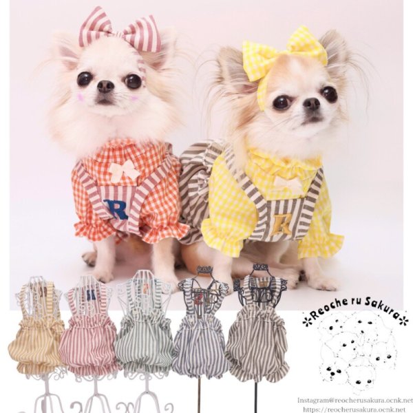 画像6: 【通年着用可】ヒッコリーバルーン (6)