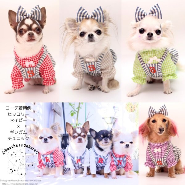 画像12: 【通年着用可】ヒッコリーバルーン (12)