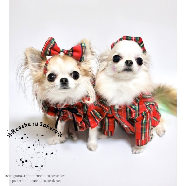 画像10: おそろいカチューシャ (10)