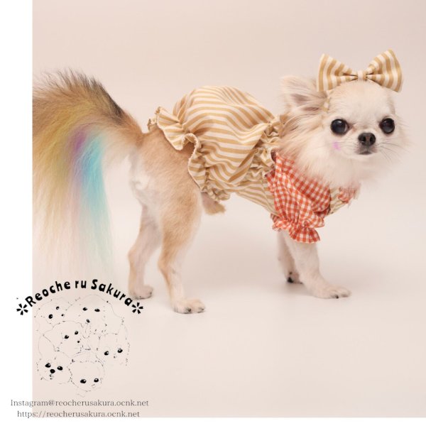 画像26: 【通年着用可】ヒッコリーバルーン (26)