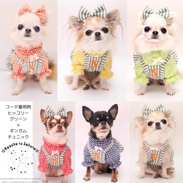 画像14: 【通年着用可】ヒッコリーバルーン (14)