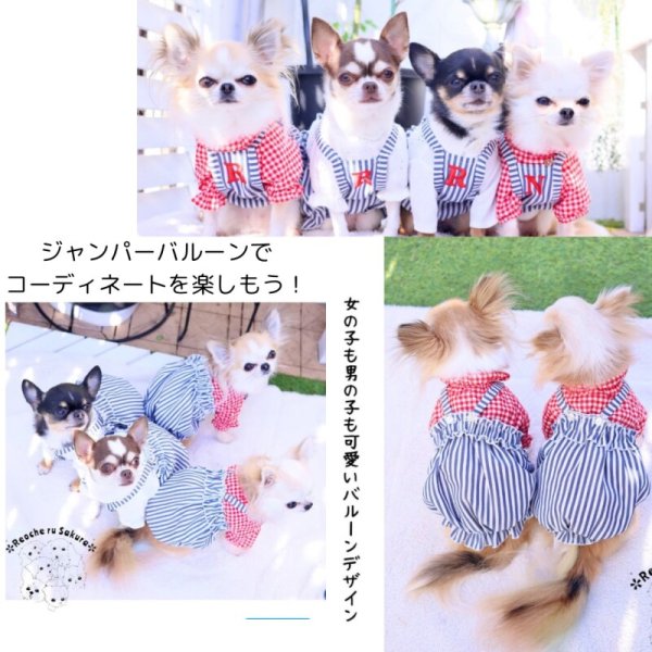 画像9: 【通年着用可】ヒッコリーバルーン (9)