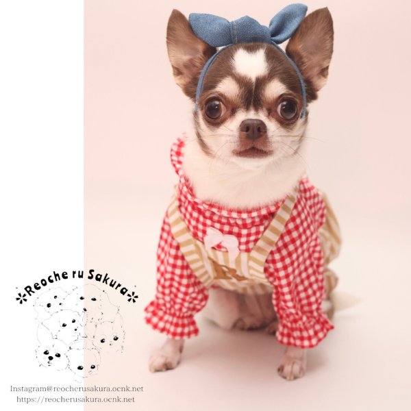 画像14: おそろいカチューシャ (14)