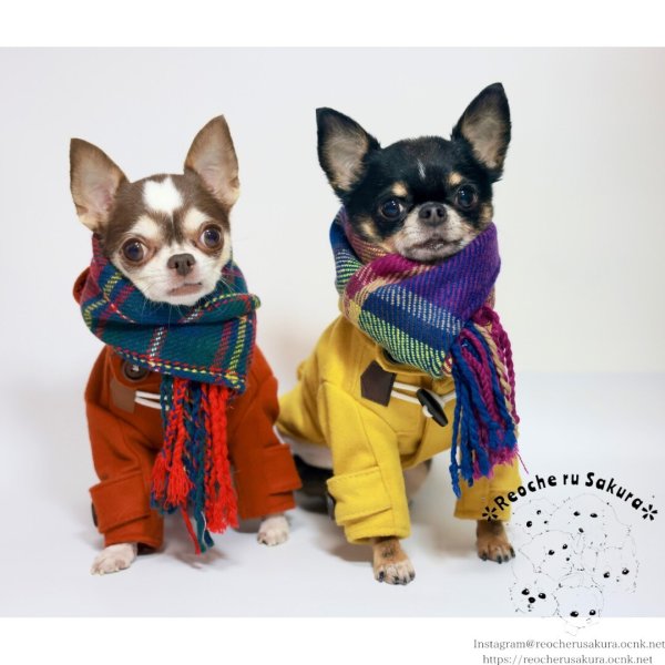 画像14: ダッフルコート(本格ウール) (14)