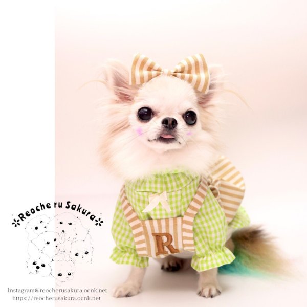 画像15: おそろいカチューシャ (15)