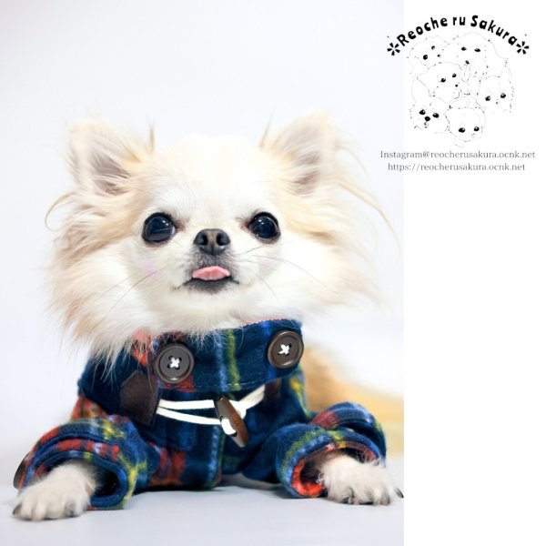 画像7: ダッフルコート(フリースver)裏地なし (7)