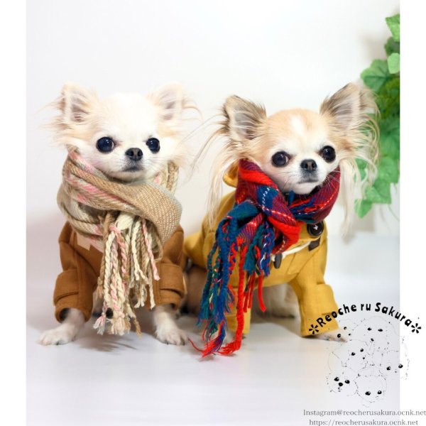 画像9: ダッフルコート(本格ウール) (9)